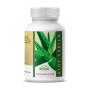 ALOE SABILA 60 COMP 600 MG