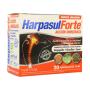 HARPASUL FORTE 20 AMP