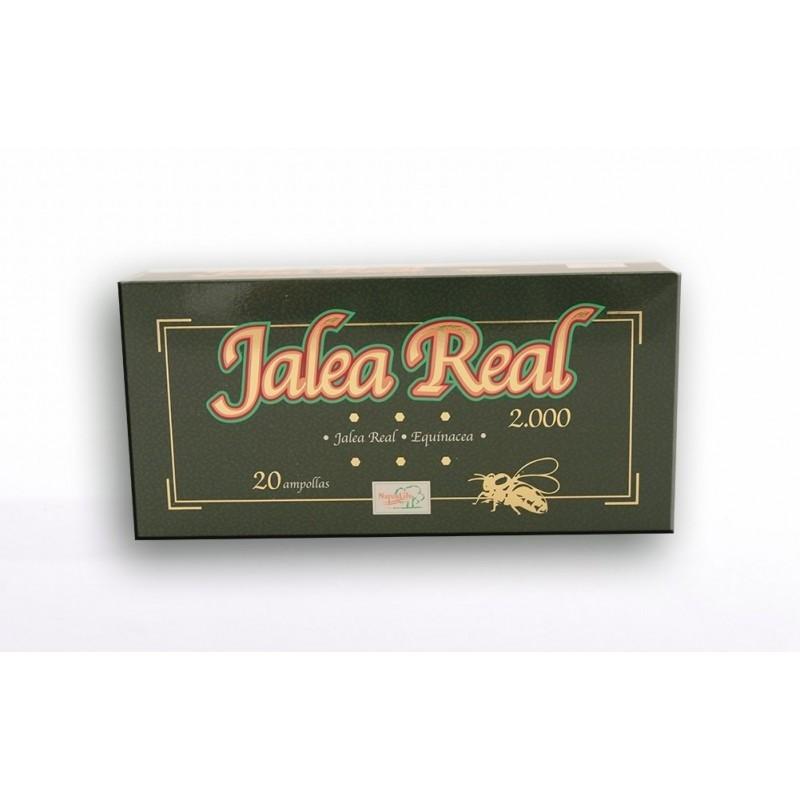 JALEA EQUINACEA 20 AMP. 2000 MG