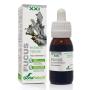 EXTRACTO FUCUS XXI 50 ML