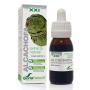 EXTRACTO ALCACHOFA XXI 50 ML