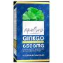 GINKGO 40 CAPS 6.500 MG ESTADO PURO