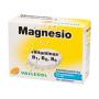 VALLESOL MAGNESIO + B EFERV. 24 COMPR