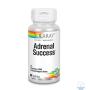 ADRENAL SUCCESS 60 VGCAPS