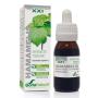 EXTRACTO HAMAMELIS XXI 50 ML