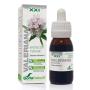 EXTRACTO VALERIANA XXL 50 ML