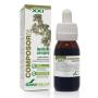 COMPOSOR 25 LEPIDIUM XXI 50 ML