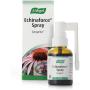 ECHINAFORCE SPRAY 30 ML