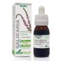 EXTRACTO SALICARIA XXI 50 ML