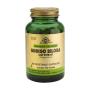 GINKGO BILOBA 60 VGCAPS