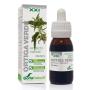 EXTRACTO ORTIGA VERDE XXI 50 ML