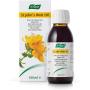 ACEITE HIPERICO 100 ML