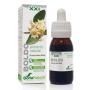 EXTRACTO BOLDO XXI 50 ML