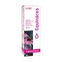 FITOEXTRACT EQUINACEA 50 ML