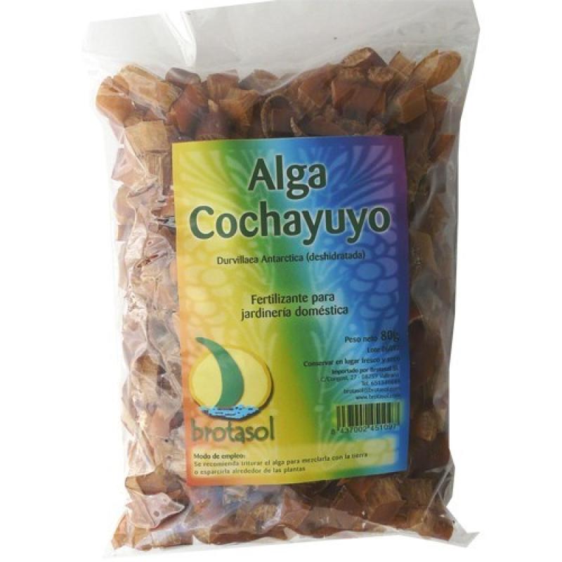 ALGA COCHAYUYO BIO 80 GR