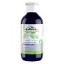 CHAMPU HENNA ARANDANO GRISES 300 ML - Imagen 1