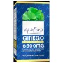 GINKGO 40 CAPS 6.500 MG ESTADO PURO - Imagen 1