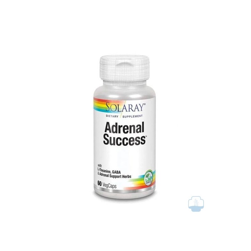 ADRENAL SUCCESS 60 VGCAPS - Imagen 1