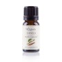 ACEITE CANELA BIO 12ML - Imagen 1