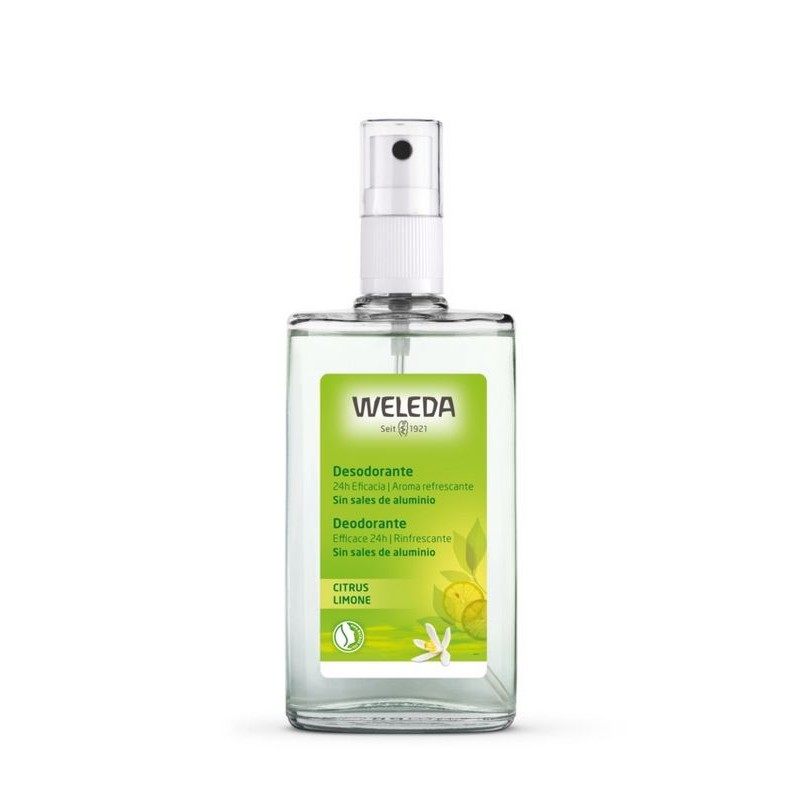 DESODORANTE CITRUS SPRAY 100 ML - Imagen 1