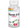 VITAMINA B-12 + ACIDO FOLICO 90 COMP 1000 MCG SUBLINGUALES - Imagen 1