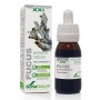 EXTRACTO FUCUS XXI 50 ML - Imagen 1