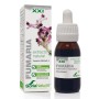 EXTRACTO FUMARIA XXI 50 ML - Imagen 1