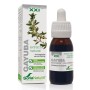 EXTRACTO GAYUBA XXI 50 ML - Imagen 1