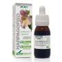 EXTRACTO HARPAGOFITO XXI 50 ML - Imagen 1