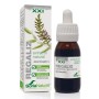 EXTRACTO REGALIZ XXI 50 ML - Imagen 1