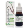 EXTRACTO SALICARIA XXI 50 ML - Imagen 1