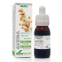 EXTRACTO AVENA XXI 50 ML - Imagen 1