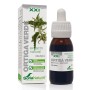 EXTRACTO ORTIGA VERDE XXI 50 ML - Imagen 1