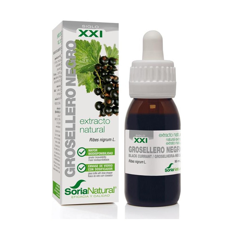 EXTRACTO GROSELLERO NEGRO XXI 50 ML - Imagen 1