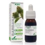 EXTRACTO BARDANA XXI 50 ML - Imagen 1