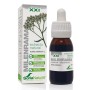 EXTRACTO MILENRAMA XXI 50 ML - Imagen 1