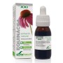 EXTRACTO EQUINACEA XXI 50 ML - Imagen 1