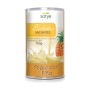 BATIDO YOGUR PIÑA 700 GR - Imagen 1