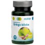 GINKGO BILOBA 100 COMP - Imagen 1