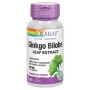 GINKGO BILOBA 60 VEGCAPS 60 MG - Imagen 1