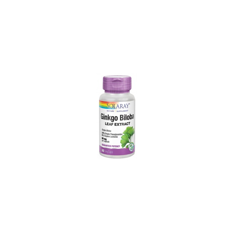 GINKGO BILOBA 60 VEGCAPS 60 MG - Imagen 1