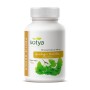 GINKGO BILOBA 100 COMP - Imagen 1