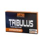 TRIBULUS 48 CAPS - Imagen 1