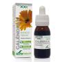 EXTRACTO CALENDULA XXI 50 ML