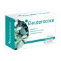 ELEUTEROCOCO 60 COMP