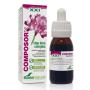 COMPOSOR 29 STOP TIME XXI 50 ML