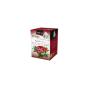 PIRAMIDES TE ROJO FRUTAS SILVESTRES 20 FILTROS BIO