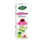 PHYTOBIOPOLE ECHINACEA BIO 50 ML