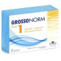 GROSSONORM FASE1 SOBRES