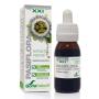 EXTRACTO PASIFLORA XXI 50 ML